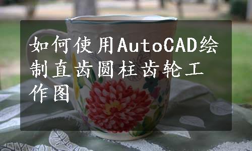 如何使用AutoCAD绘制直齿圆柱齿轮工作图