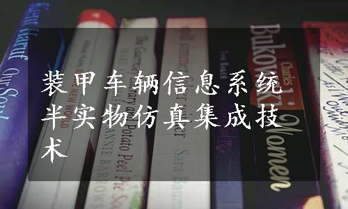 装甲车辆信息系统半实物仿真集成技术