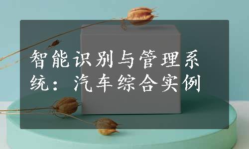 智能识别与管理系统：汽车综合实例