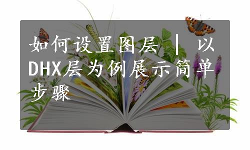 如何设置图层 | 以DHX层为例展示简单步骤