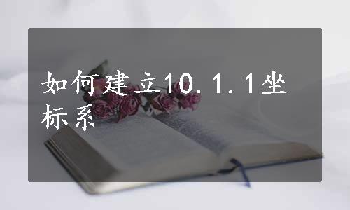 如何建立10.1.1坐标系