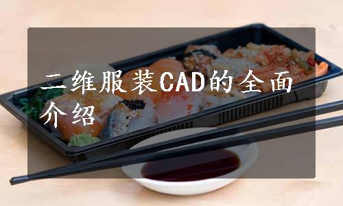 二维服装CAD的全面介绍