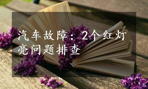 汽车故障：2个红灯亮问题排查