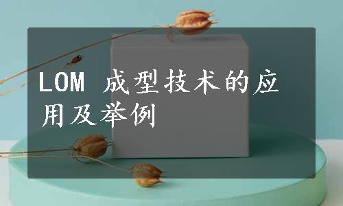 LOM 成型技术的应用及举例