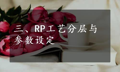 三、RP工艺分层与参数设定