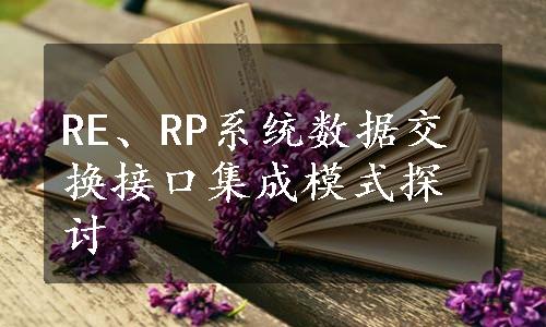 RE、RP系统数据交换接口集成模式探讨