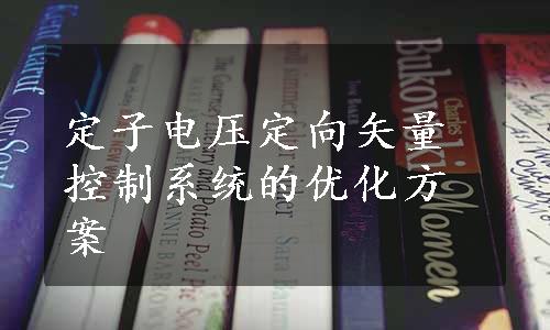 定子电压定向矢量控制系统的优化方案