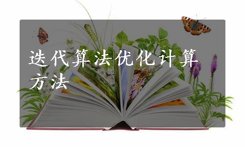 迭代算法优化计算方法