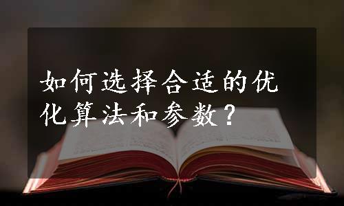 如何选择合适的优化算法和参数？