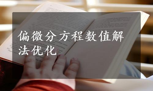 偏微分方程数值解法优化