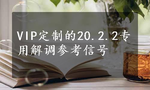 VIP定制的20.2.2专用解调参考信号