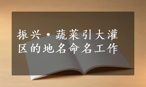 振兴·蔬菜引大灌区的地名命名工作