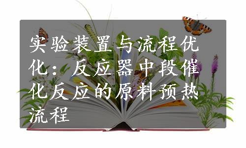 实验装置与流程优化：反应器中段催化反应的原料预热流程