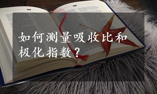 如何测量吸收比和极化指数？