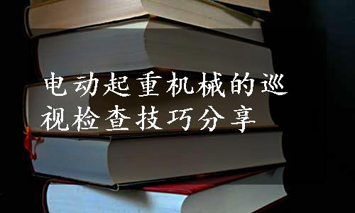 电动起重机械的巡视检查技巧分享