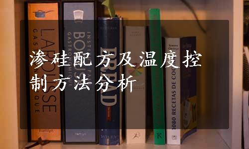 渗硅配方及温度控制方法分析