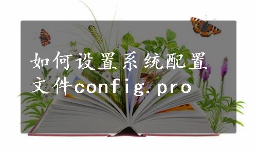 如何设置系统配置文件config.pro