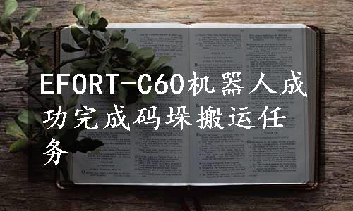 EFORT-C60机器人成功完成码垛搬运任务