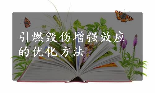 引燃毁伤增强效应的优化方法