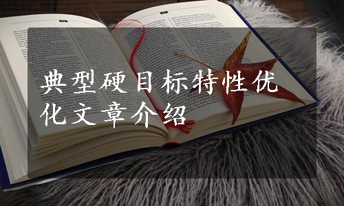 典型硬目标特性优化文章介绍