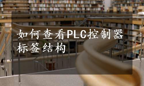 如何查看PLC控制器标签结构