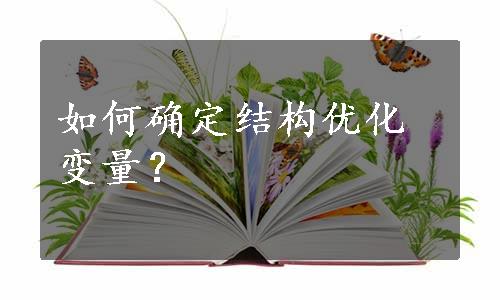 如何确定结构优化变量？