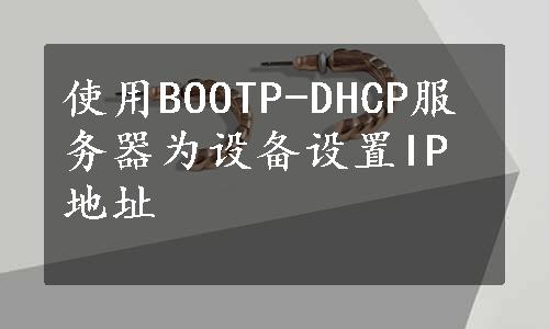 使用BOOTP-DHCP服务器为设备设置IP地址