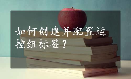 如何创建并配置运控组标签？