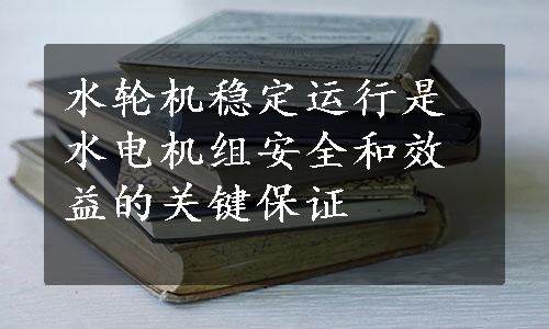 水轮机稳定运行是水电机组安全和效益的关键保证