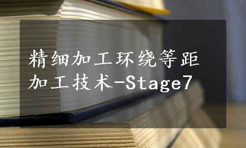 精细加工环绕等距加工技术-Stage7