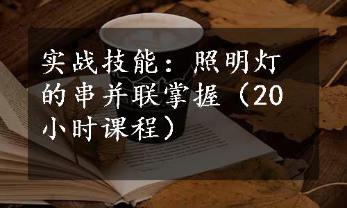 实战技能：照明灯的串并联掌握（20小时课程）