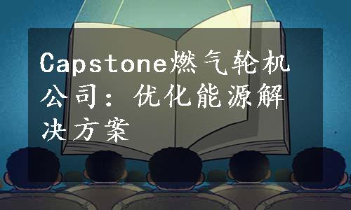 Capstone燃气轮机公司：优化能源解决方案