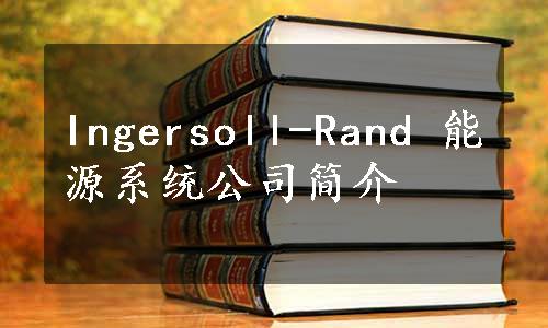 Ingersoll-Rand 能源系统公司简介