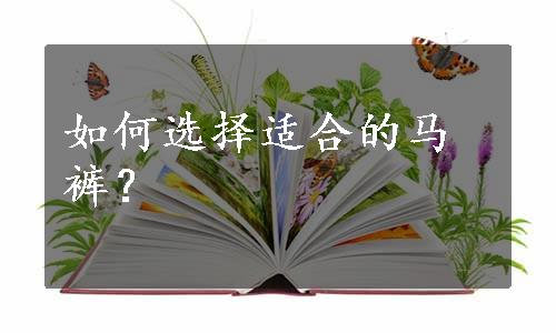 如何选择适合的马裤？