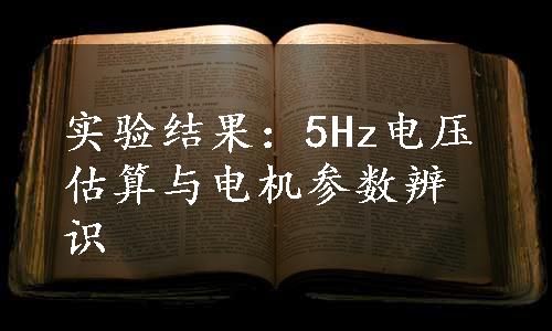 实验结果：5Hz电压估算与电机参数辨识