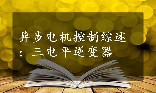 异步电机控制综述：三电平逆变器