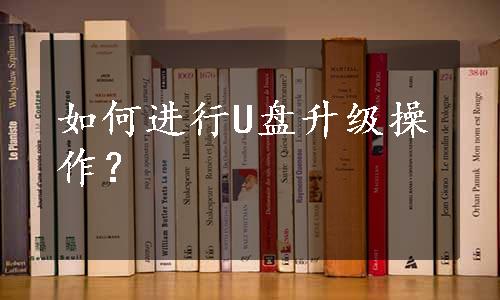 如何进行U盘升级操作？