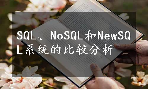 SQL、NoSQL和NewSQL系统的比较分析