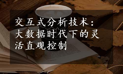 交互式分析技术：大数据时代下的灵活直观控制