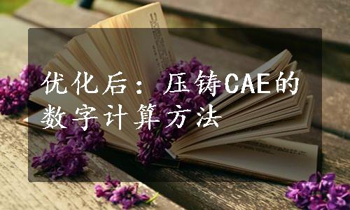 优化后：压铸CAE的数字计算方法