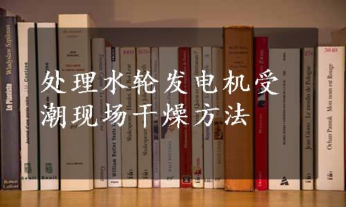 处理水轮发电机受潮现场干燥方法