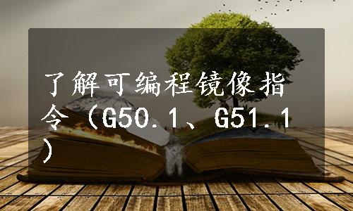 了解可编程镜像指令（G50.1、G51.1）