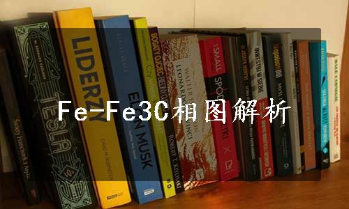 Fe-Fe3C相图解析