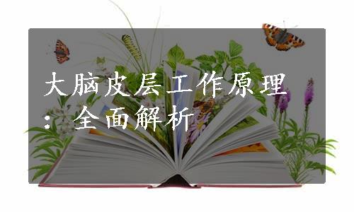 大脑皮层工作原理：全面解析