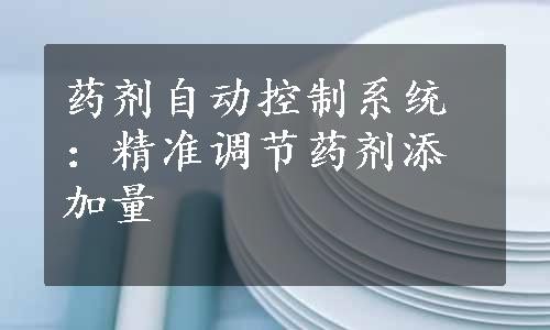 药剂自动控制系统：精准调节药剂添加量