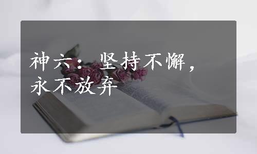 神六：坚持不懈，永不放弃