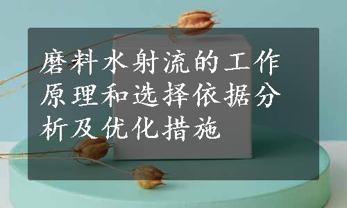 磨料水射流的工作原理和选择依据分析及优化措施