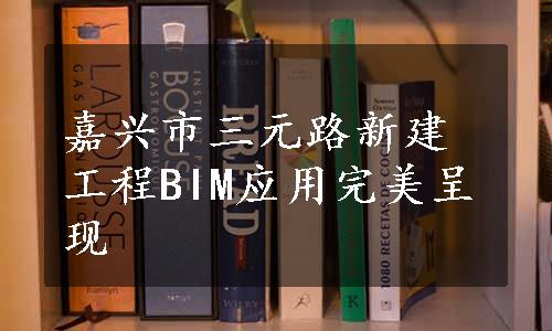 嘉兴市三元路新建工程BIM应用完美呈现