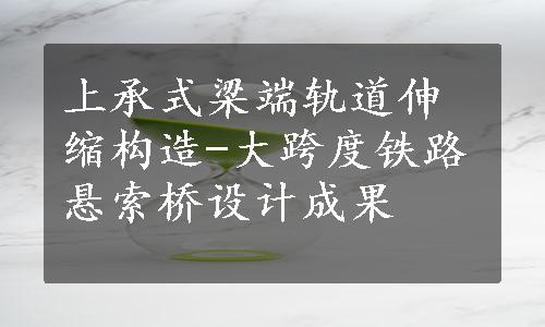 上承式梁端轨道伸缩构造-大跨度铁路悬索桥设计成果