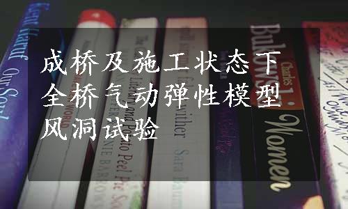 成桥及施工状态下全桥气动弹性模型风洞试验